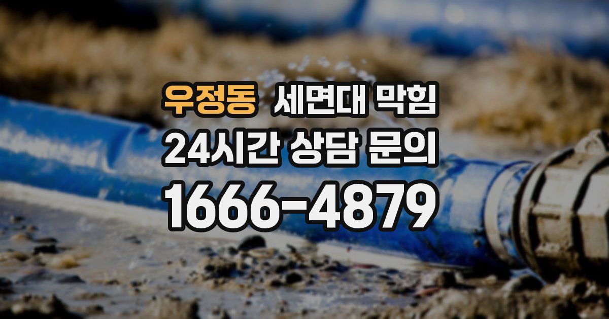 우정동 세면대 막힘