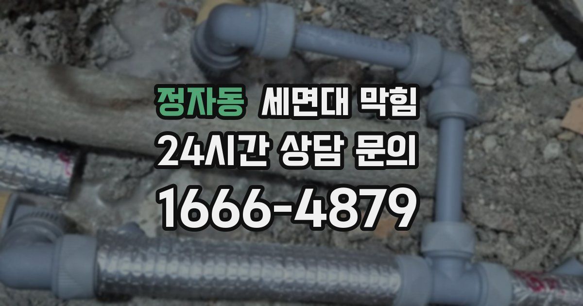 정자동 세면대 막힘