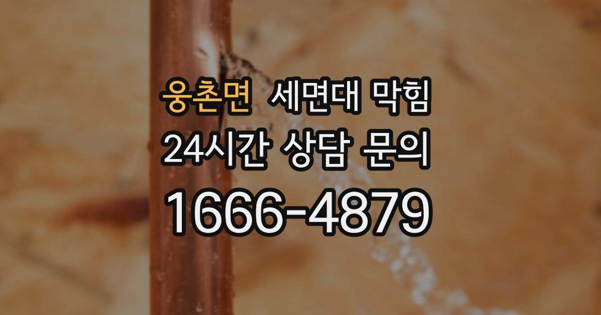 웅촌면 세면대 막힘