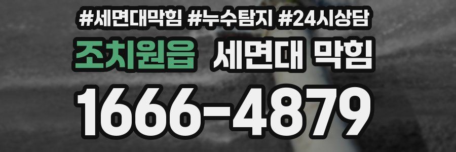 조치원읍 세면대 막힘