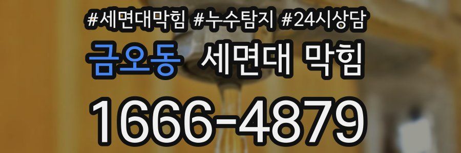 금오동 세면대 막힘