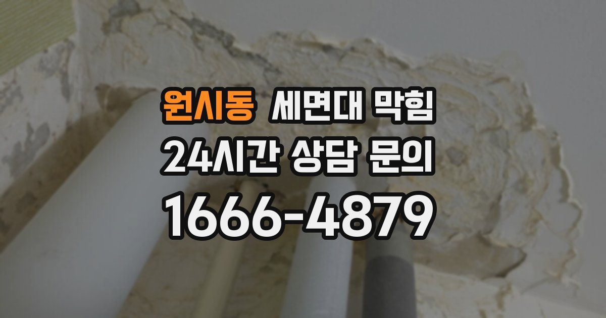 원시동 세면대 막힘
