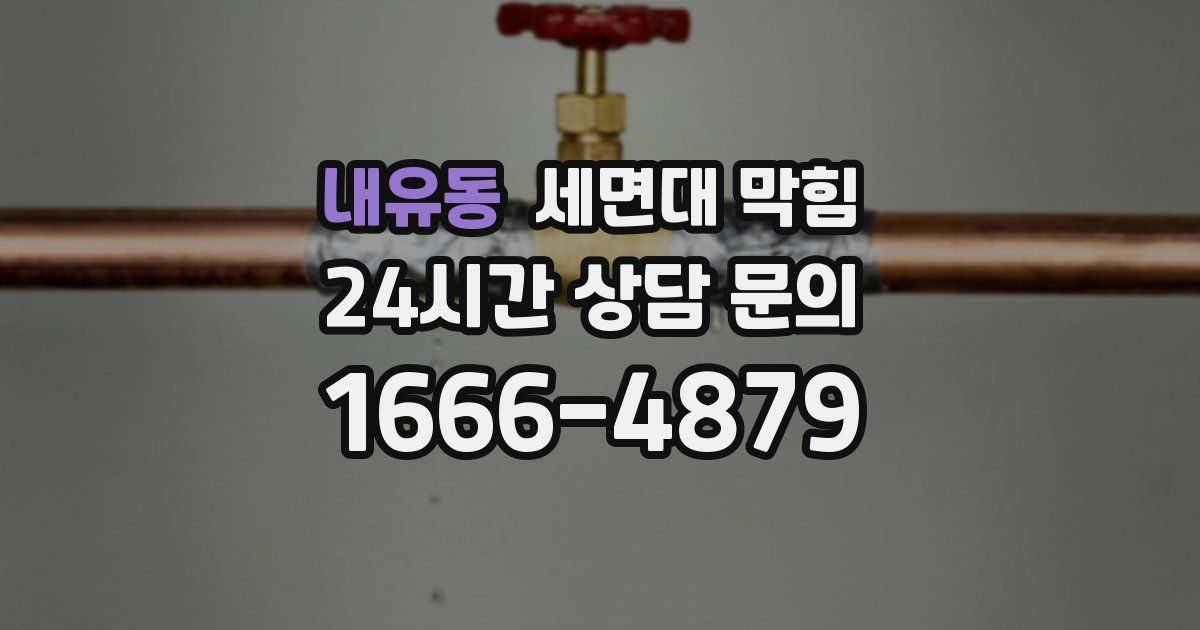 내유동 세면대 막힘