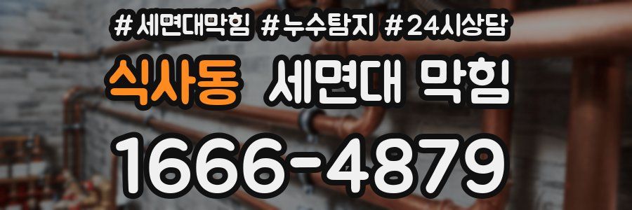 식사동 세면대 막힘