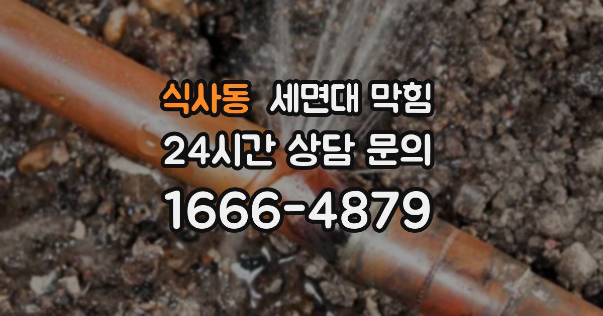 식사동 세면대 막힘