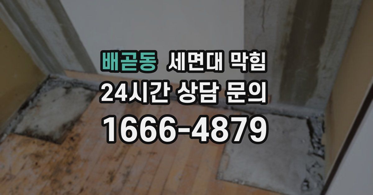 배곧동 세면대 막힘