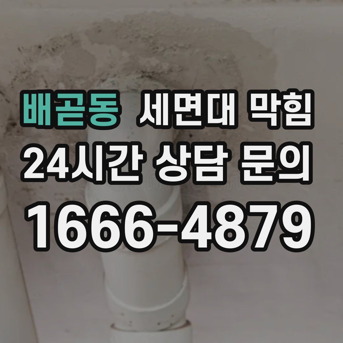 배곧동 세면대 막힘