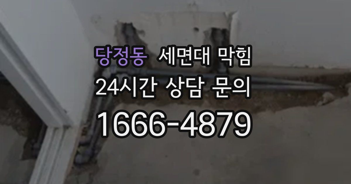 당정동 세면대 막힘