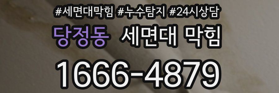 당정동 세면대 막힘