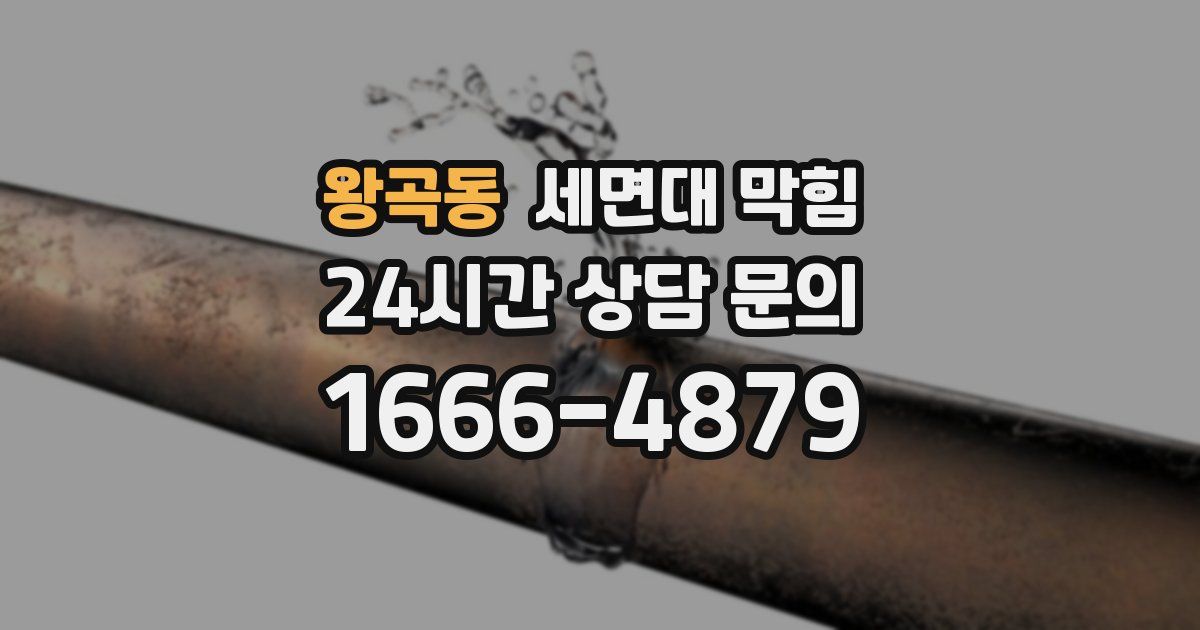 왕곡동 세면대 막힘