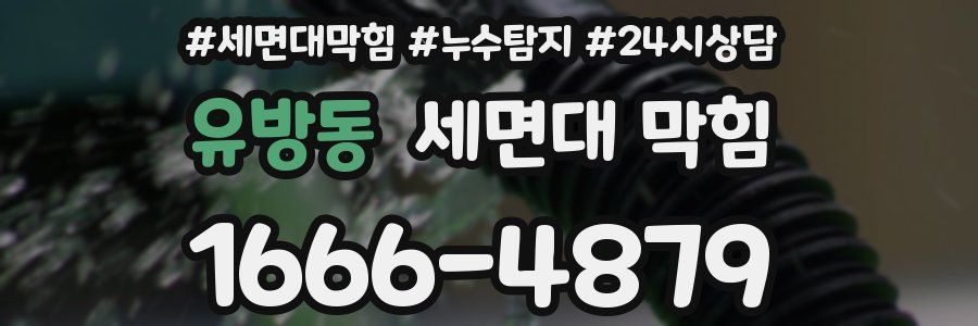 유방동 세면대 막힘