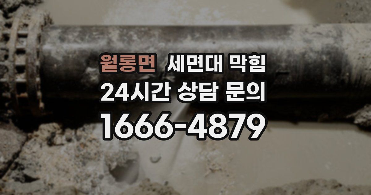 월롱면 세면대 막힘