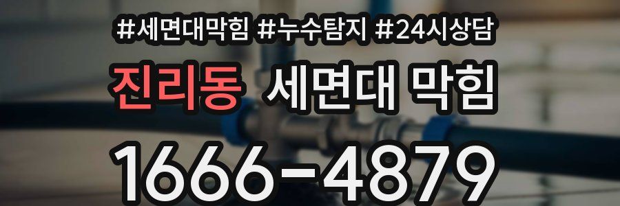 진리동 세면대 막힘