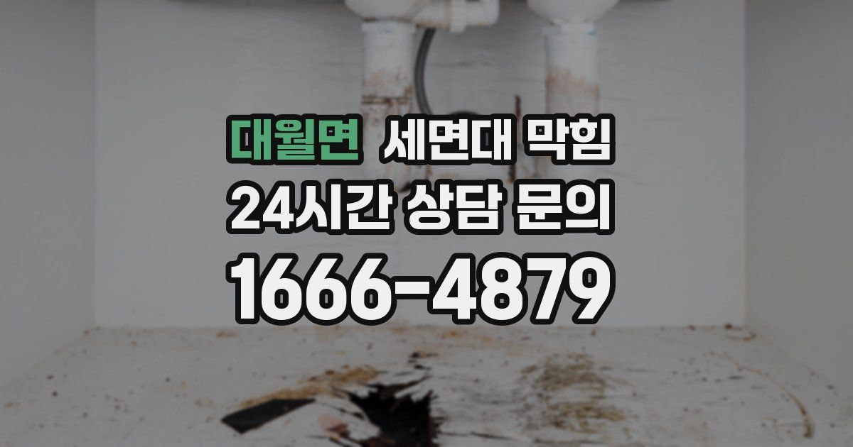 대월면 세면대 막힘