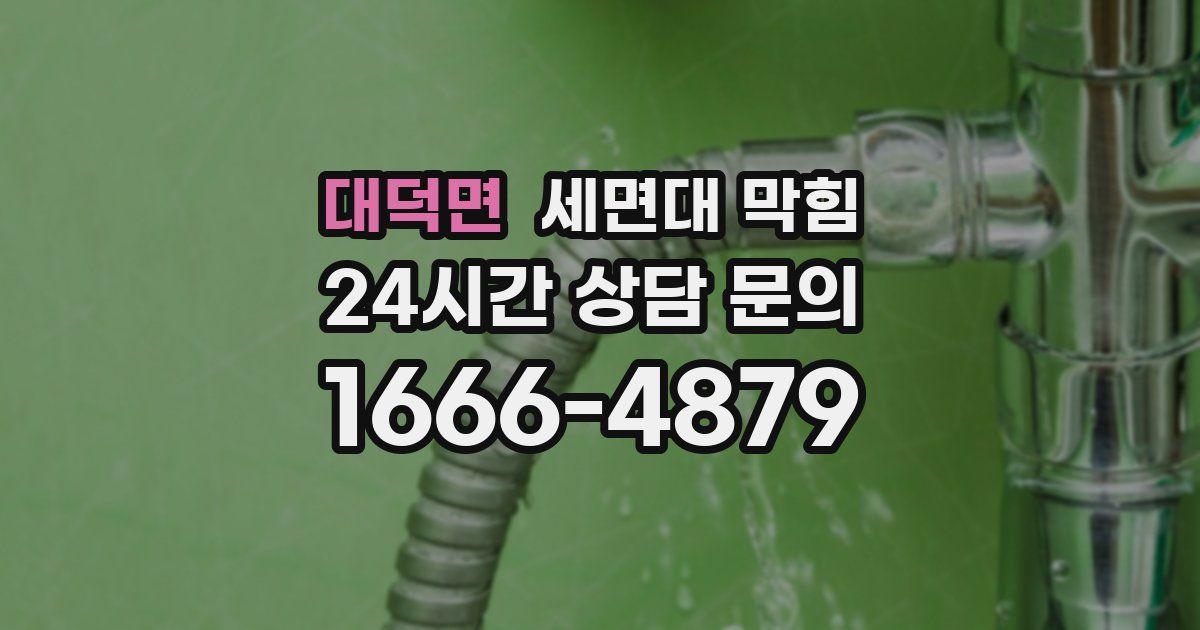 대덕면 세면대 막힘