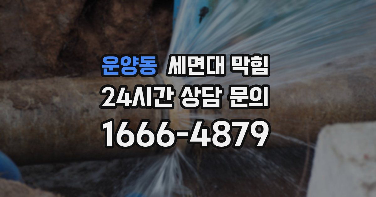 운양동 세면대 막힘