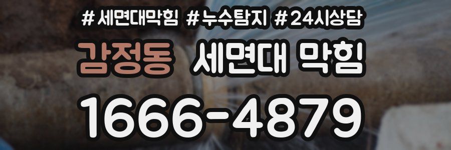 감정동 세면대 막힘