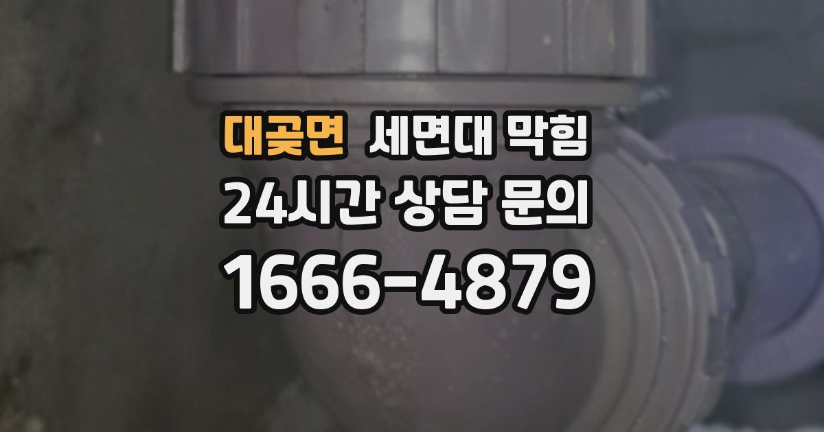 대곶면 세면대 막힘