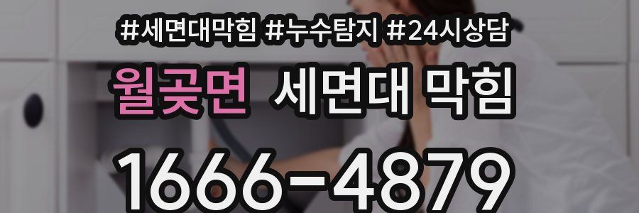 월곶면 세면대 막힘