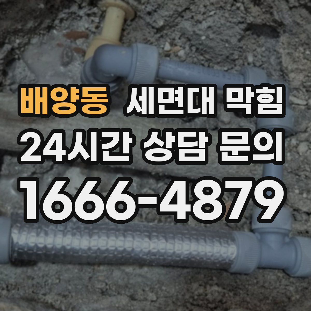 배양동 세면대 막힘