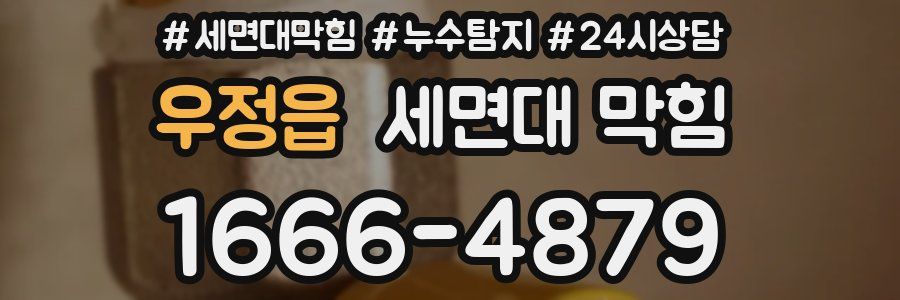 우정읍 세면대 막힘