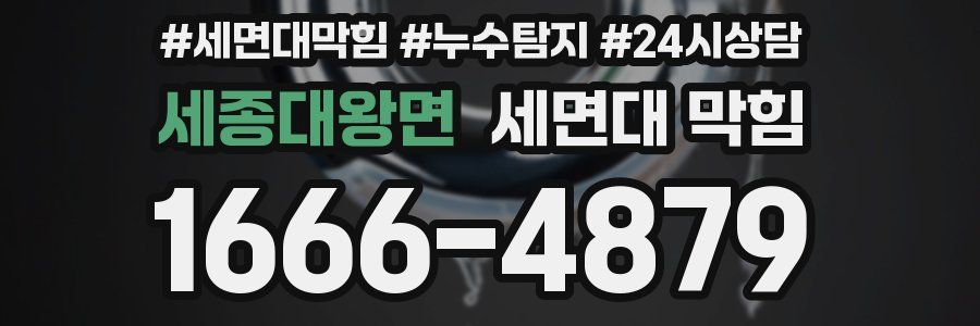 세종대왕면 세면대 막힘