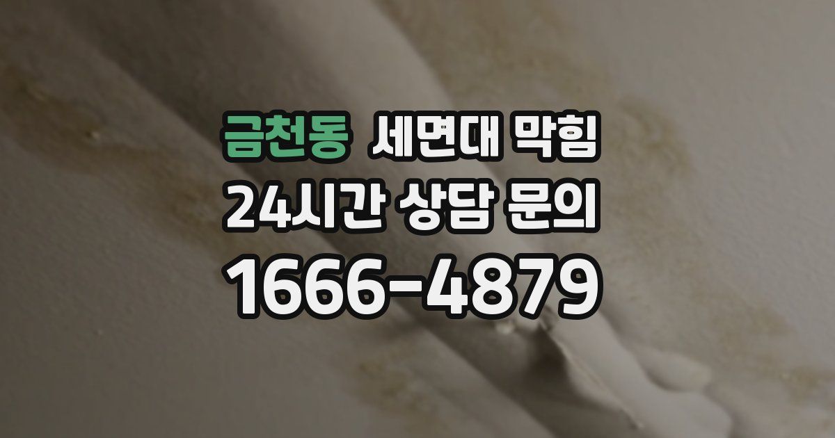 금천동 세면대 막힘