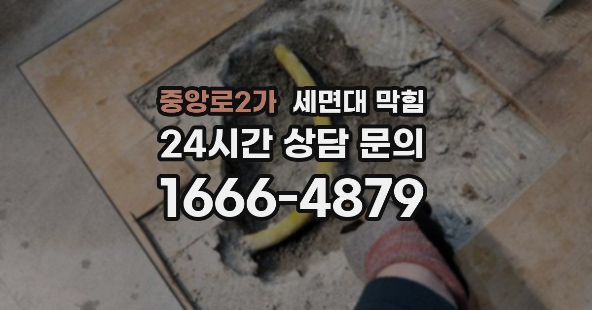 중앙로2가 세면대 막힘