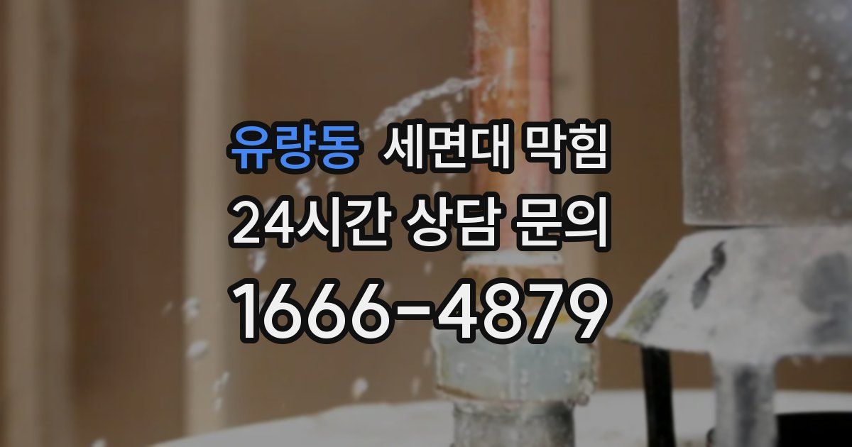 유량동 세면대 막힘