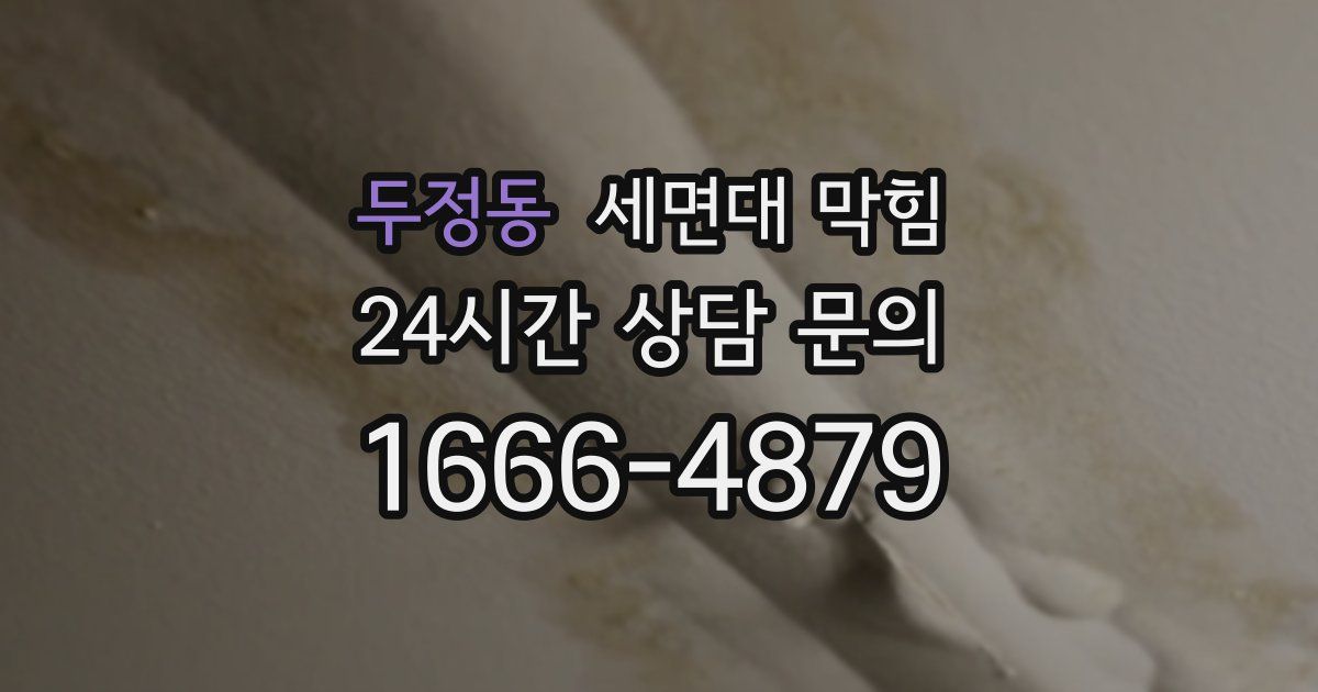 두정동 세면대 막힘