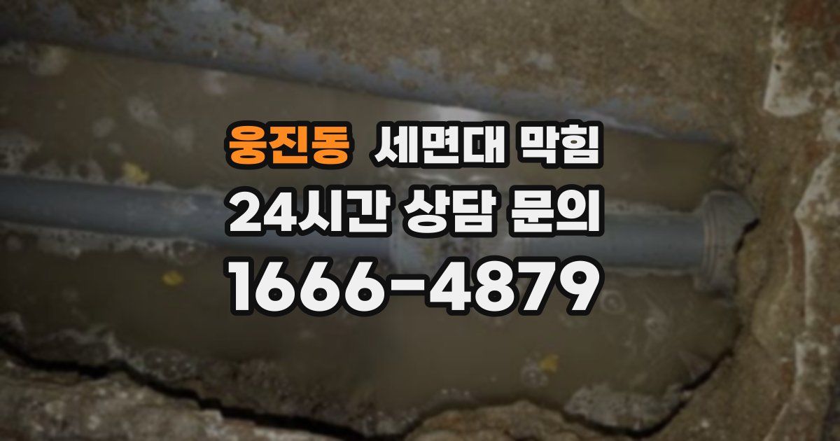 웅진동 세면대 막힘