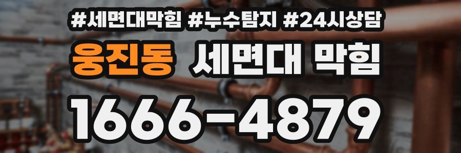 웅진동 세면대 막힘