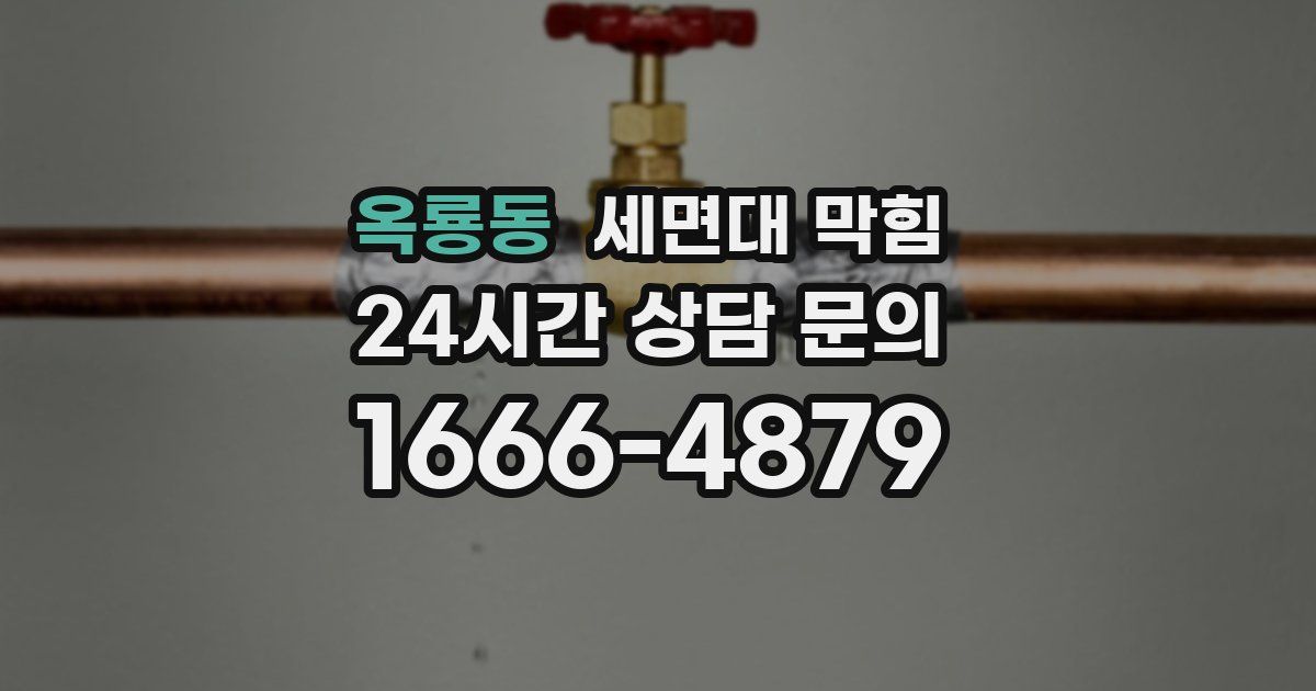 옥룡동 세면대 막힘