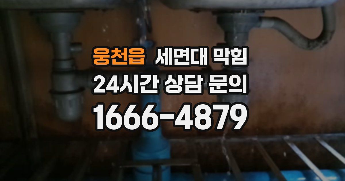 웅천읍 세면대 막힘