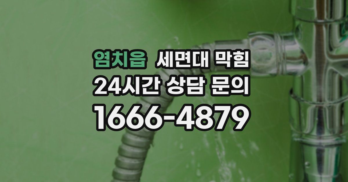 염치읍 세면대 막힘