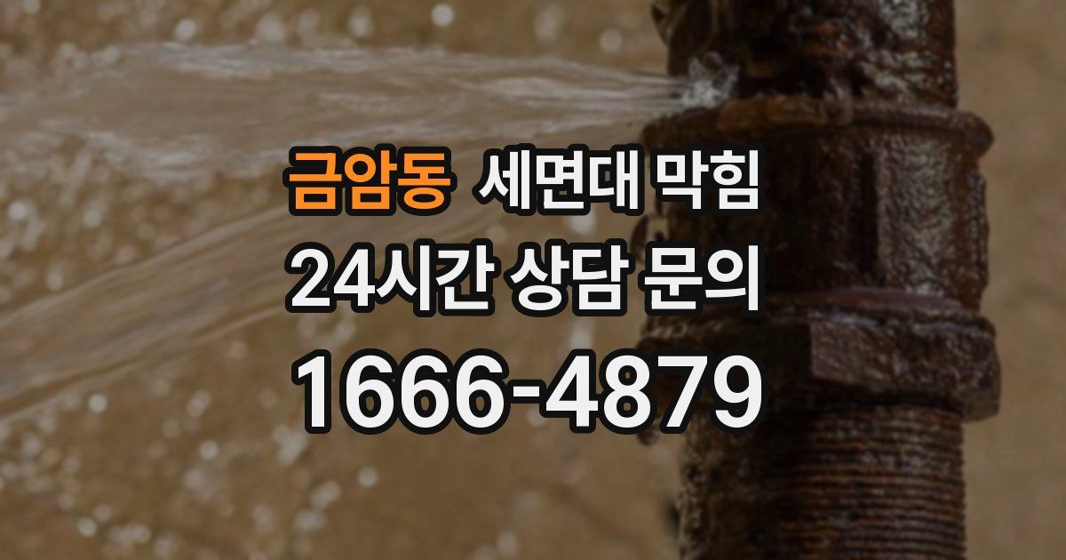 금암동 세면대 막힘