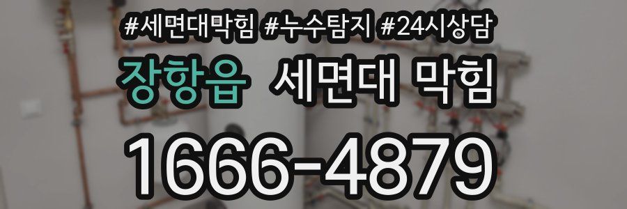 장항읍 세면대 막힘