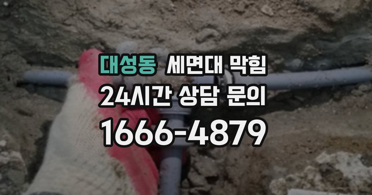 대성동 세면대 막힘