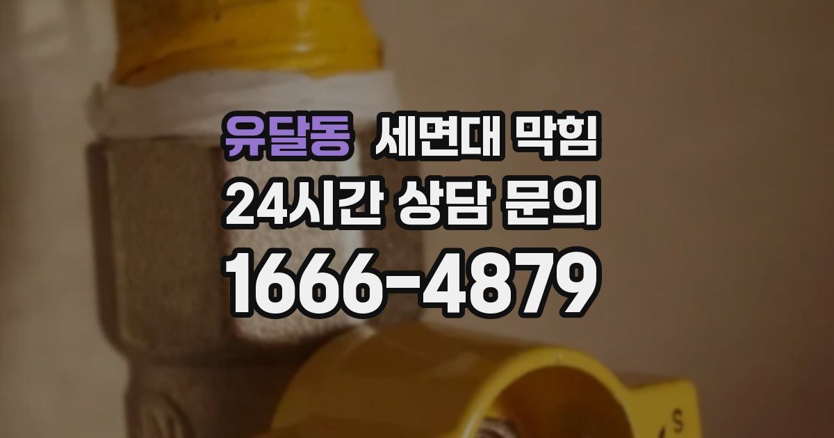 유달동 세면대 막힘