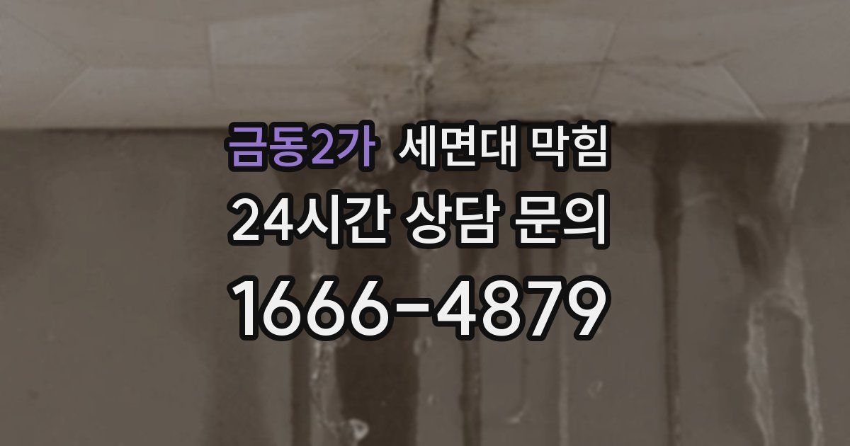 금동2가 세면대 막힘