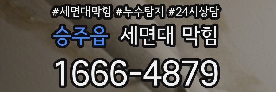 승주읍 세면대 막힘