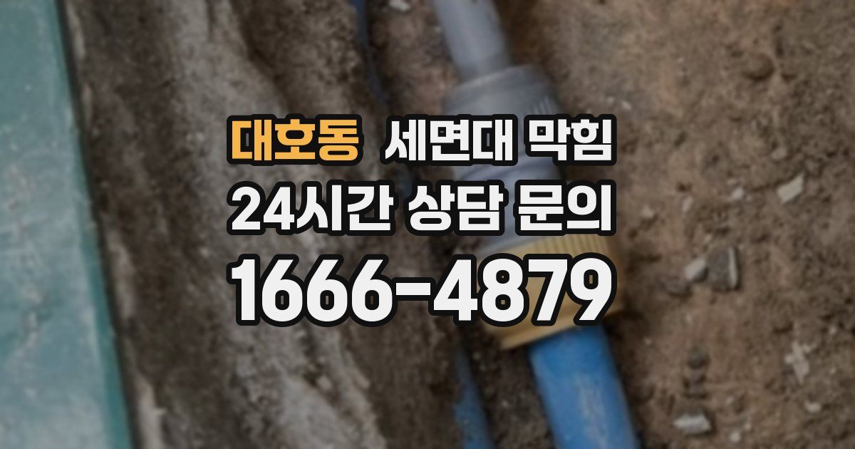 대호동 세면대 막힘