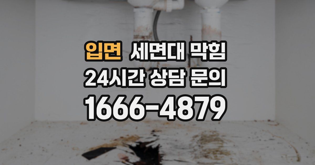 입면 세면대 막힘