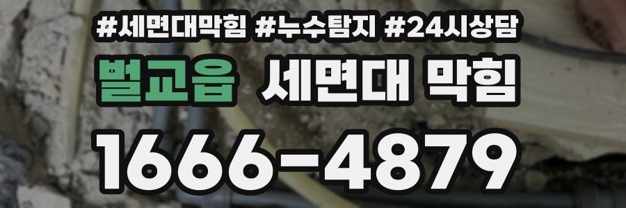 벌교읍 세면대 막힘