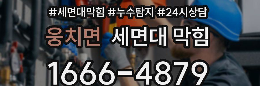 웅치면 세면대 막힘