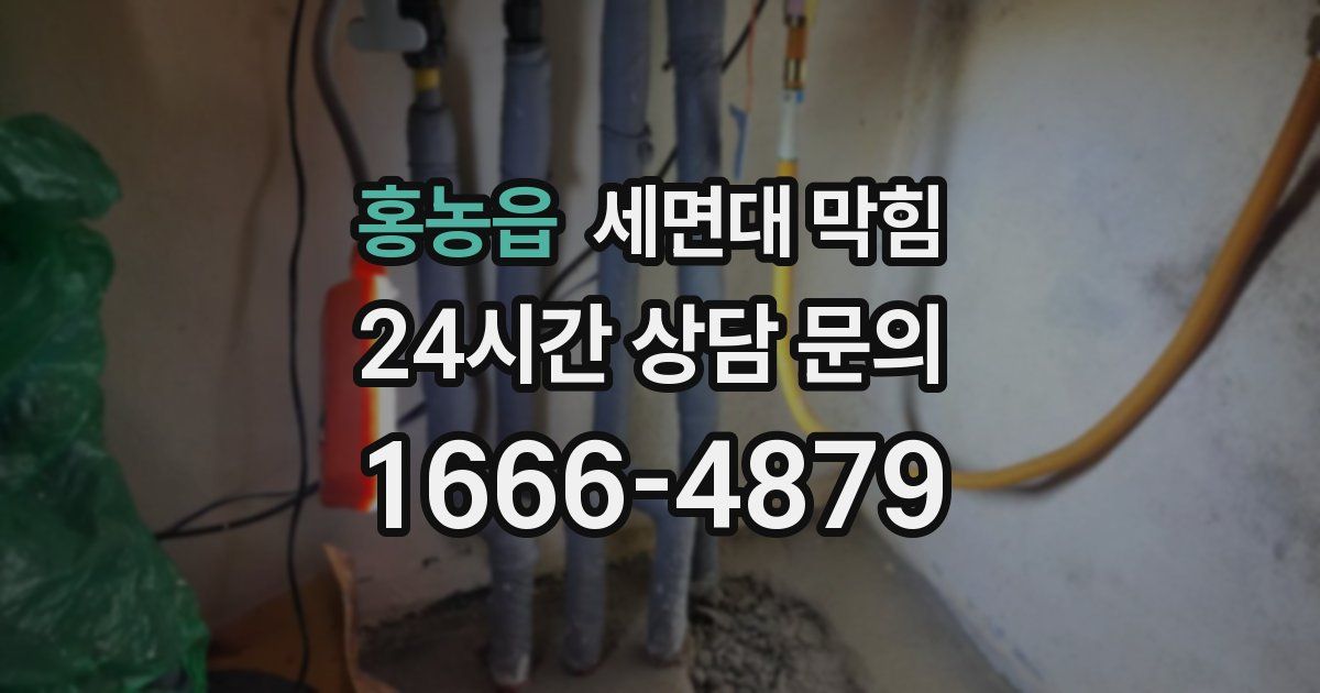 홍농읍 세면대 막힘