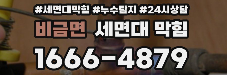 비금면 세면대 막힘