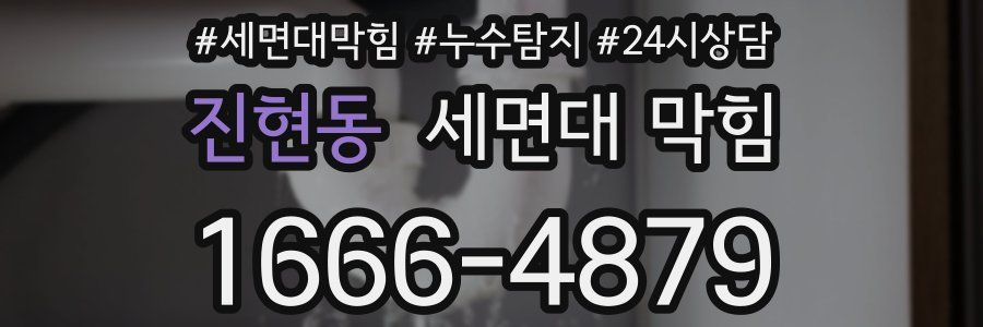 진현동 세면대 막힘