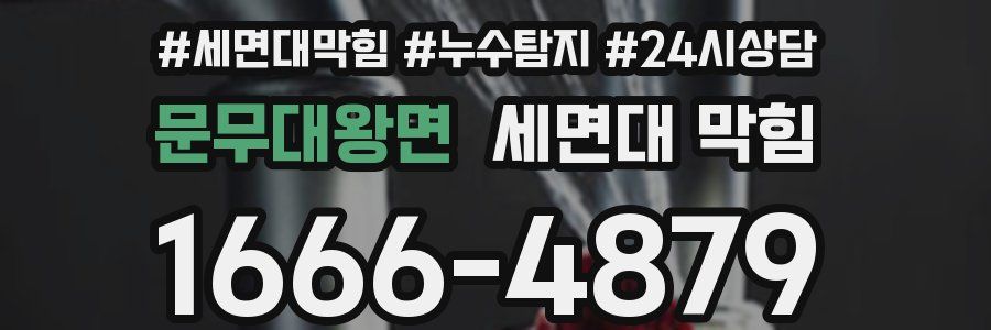 문무대왕면 세면대 막힘