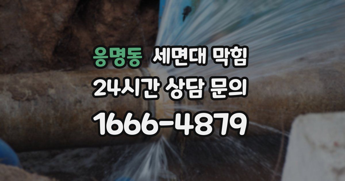 응명동 세면대 막힘